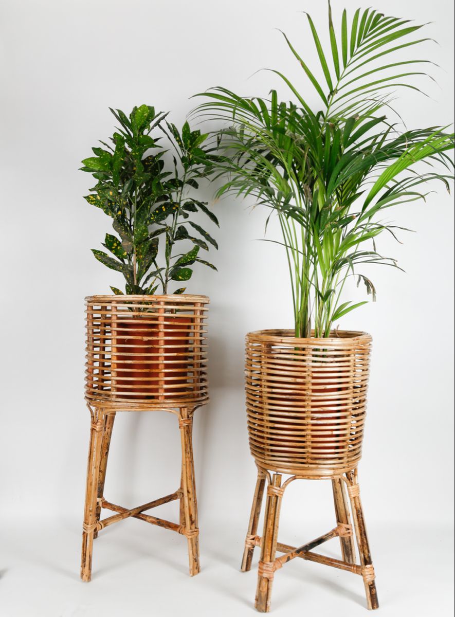 Cane Furniture Warranty